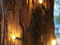 Christmas Land Outdoor Christmas Lights*100 Fdl Xl Led Connectable Warm White Christmas Lights (15M)