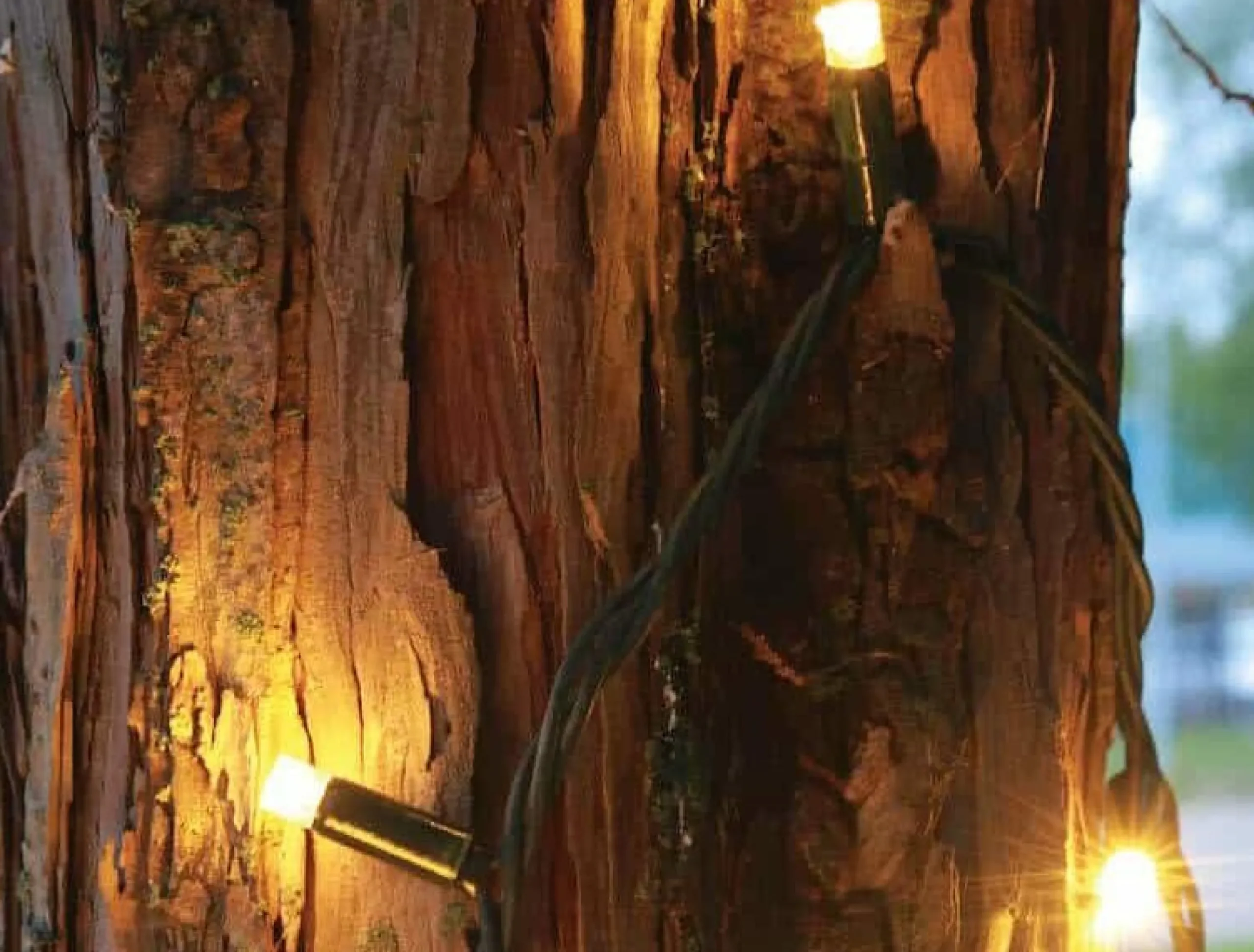 Christmas Land Outdoor Christmas Lights*100 Fdl Xl Led Connectable Warm White Christmas Lights (15M)