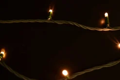 Christmas Land Outdoor Christmas Lights*100 Led Xp Heavy Duty Connectable Outdoor Christmas Lights Warm White Fdl (10M)