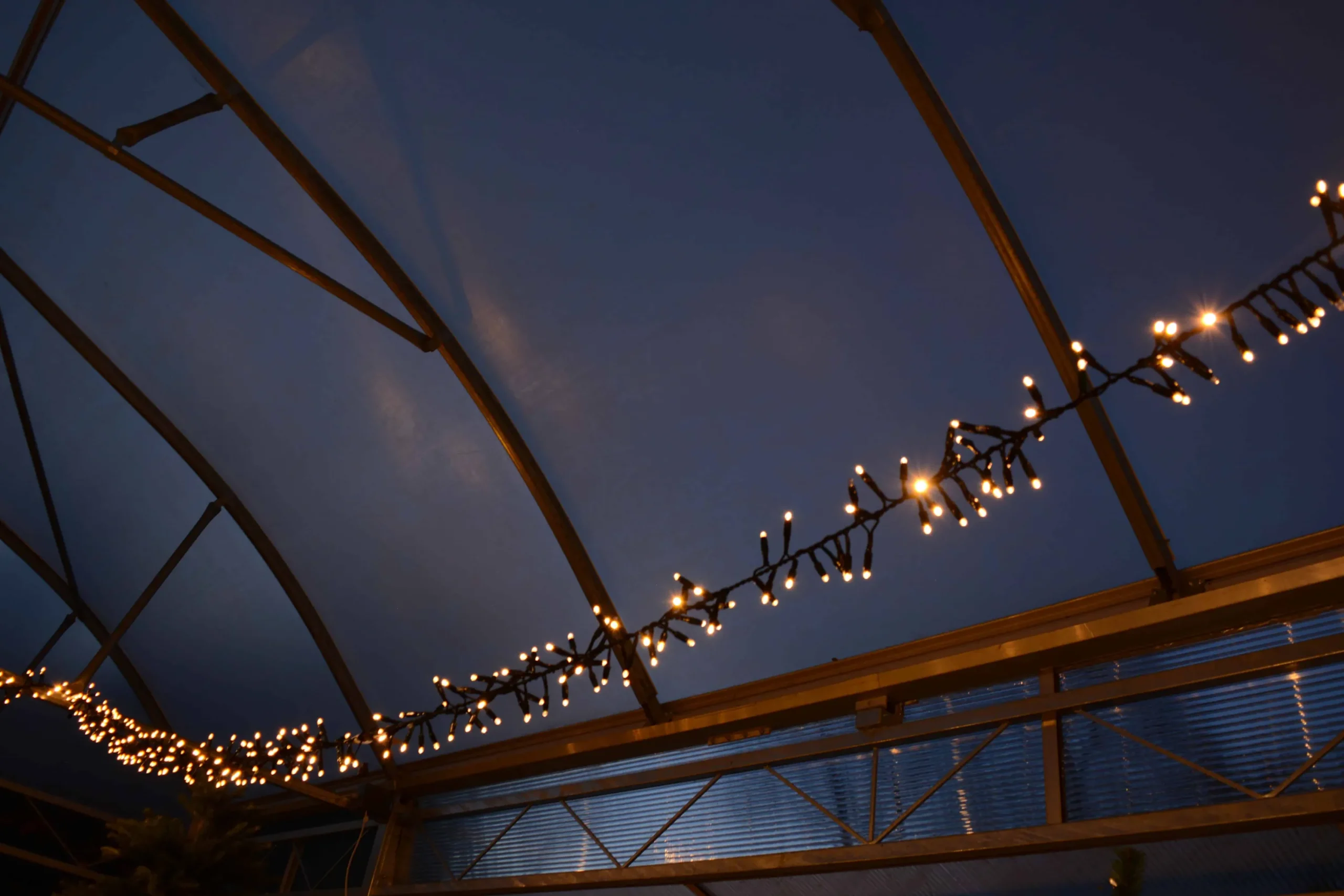 Christmas Land Outdoor Christmas Lights*180 Led Xp Heavy Duty Connectable Outdoor Static Cluster Christmas Lights Fdl (3M)