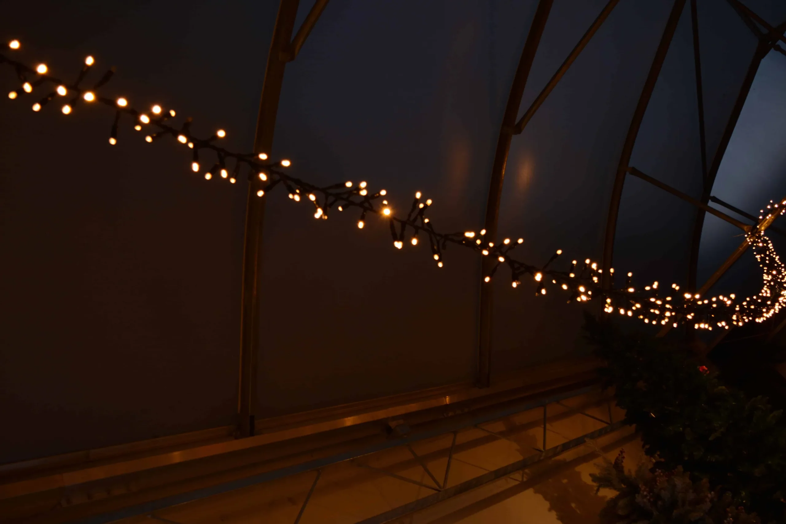 Christmas Land Outdoor Christmas Lights*180 Led Xp Heavy Duty Connectable Outdoor Static Cluster Christmas Lights Fdl (3M)