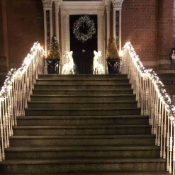 Christmas Land Outdoor Christmas Lights-180 Led Xp Heavy Duty Connectable Outdoor Cluster Christmas Lights Fdl (3M) Twinkle