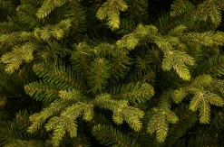 Christmas Land 6Ft & 7Ft Artificial Christmas Trees (Un-Lit)*7.5Ft Carrington Fir Slim Artificial Christmas Tree