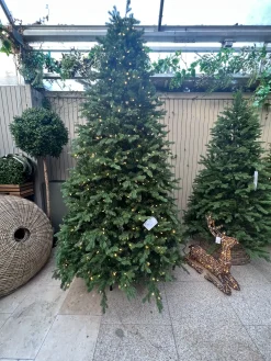 Christmas Land Pre-Lit Christmas Trees*10Ft Feel Real Bosworth Spruce Artificial Christmas Tree Pre-Lit