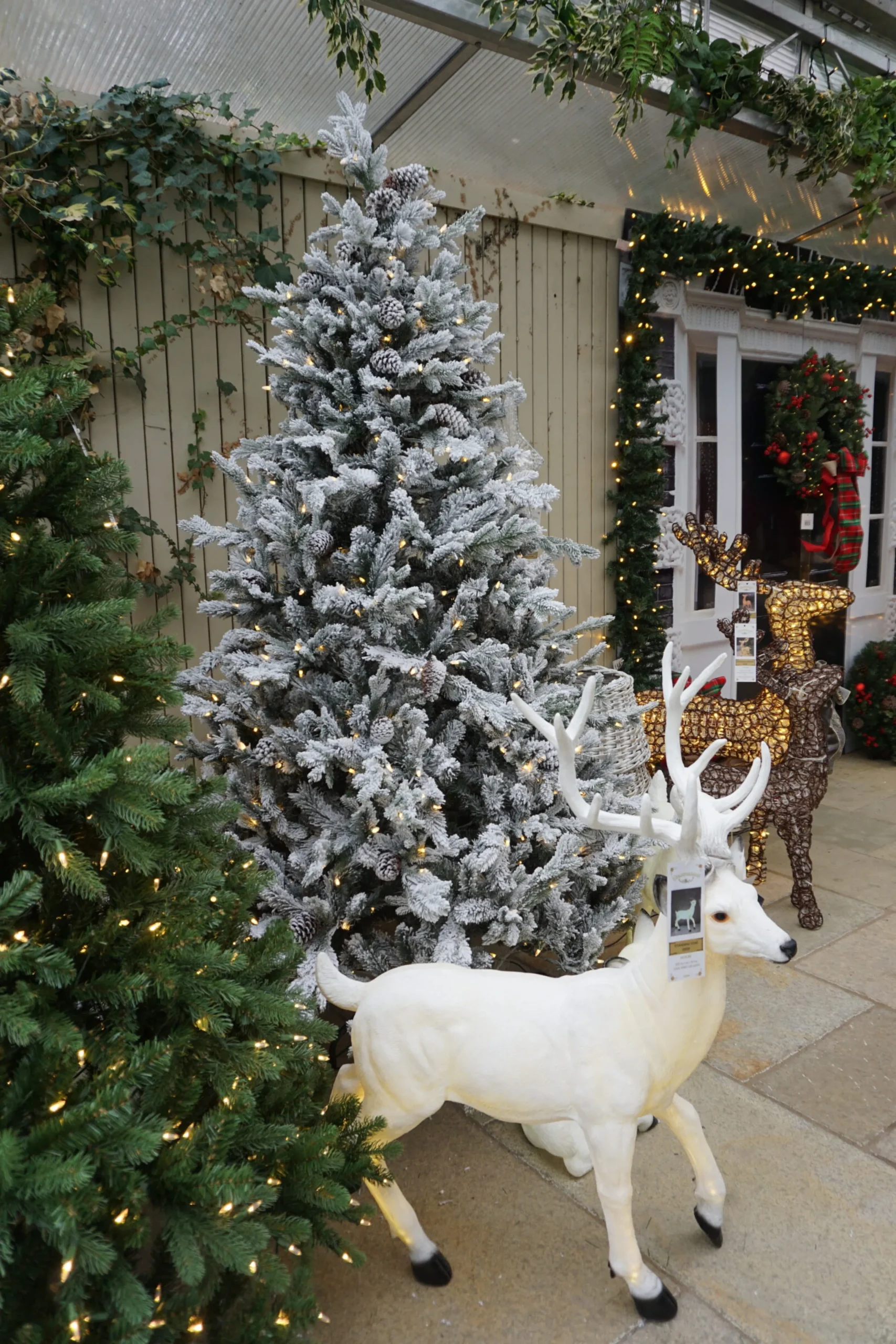 Christmas Land Pre-Lit Christmas Trees*9Ft Feel Real Frosted Dorchester Pine Pre-Lit Artificial Christmas Tree