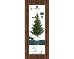 Christmas Land 8Ft & 9Ft Artificial Christmas Trees (Un-Lit)-8Ft Grandis Fir Artificial Christmas Tree