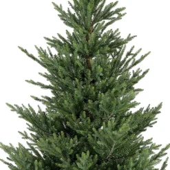 Christmas Land 6Ft & 7Ft Artificial Christmas Trees (Un-Lit)*8Ft Norway Spruce Artificial Christmas Tree