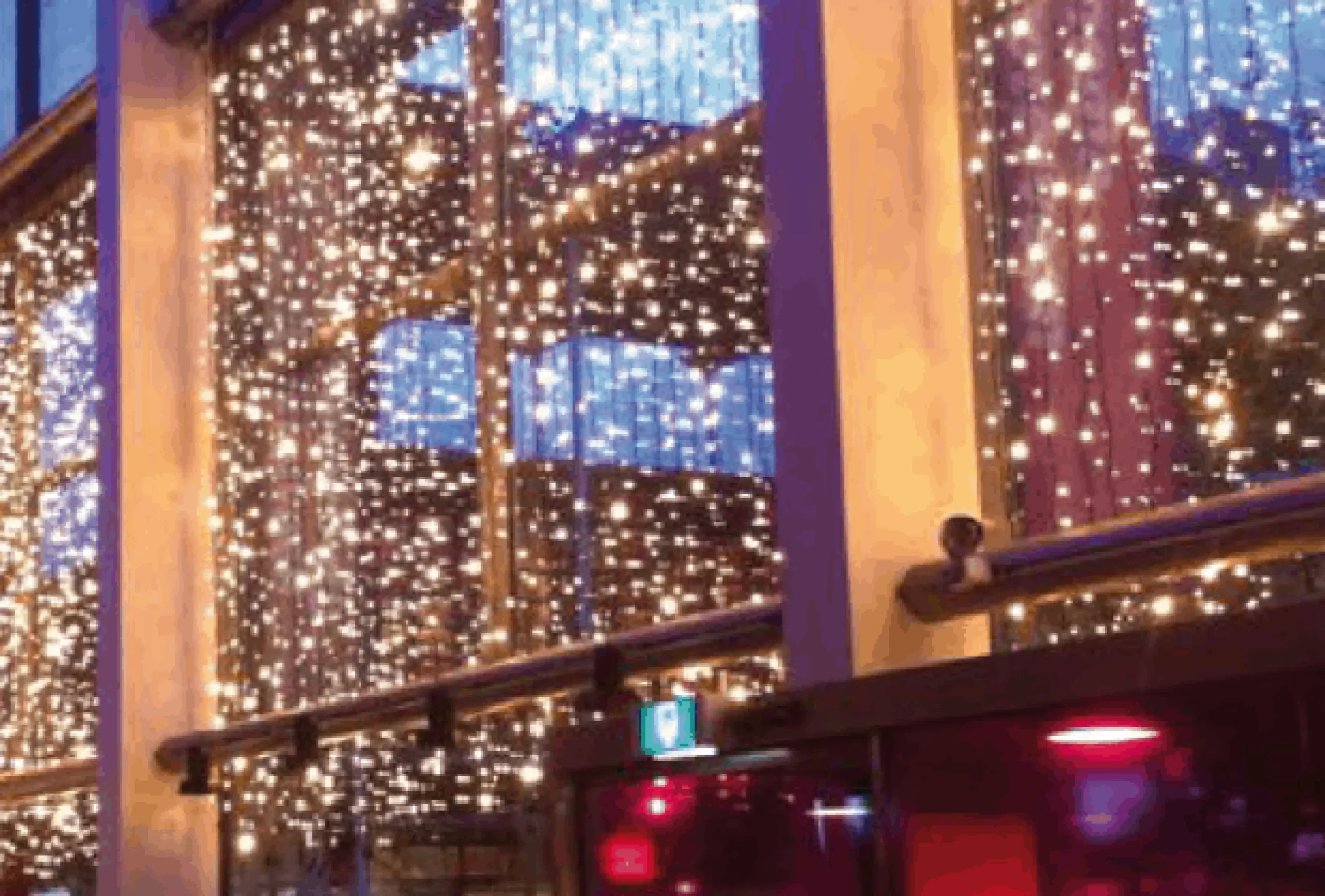 Christmas Land Outdoor Christmas Lights*Led Xp Heavy Duty Extendable Curtain Christmas Lights Warm White